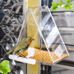 Clear window bird feeder with a small bird perched on the front rail