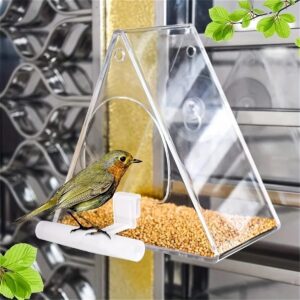 Clear window bird feeder with a small bird perched on the front rail