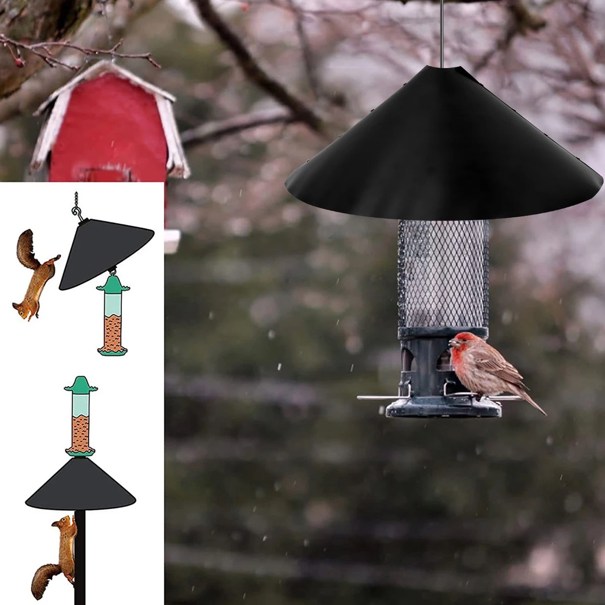 Squirrel baffle hanging above a bird feeder