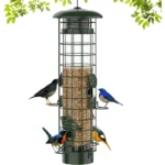 Weight-activated squirrel-proof bird feeder with songbirds feeding at open ports