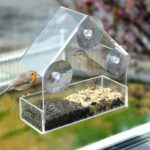 Suction cup bird feeder mounted on a window with a small bird feeding up close